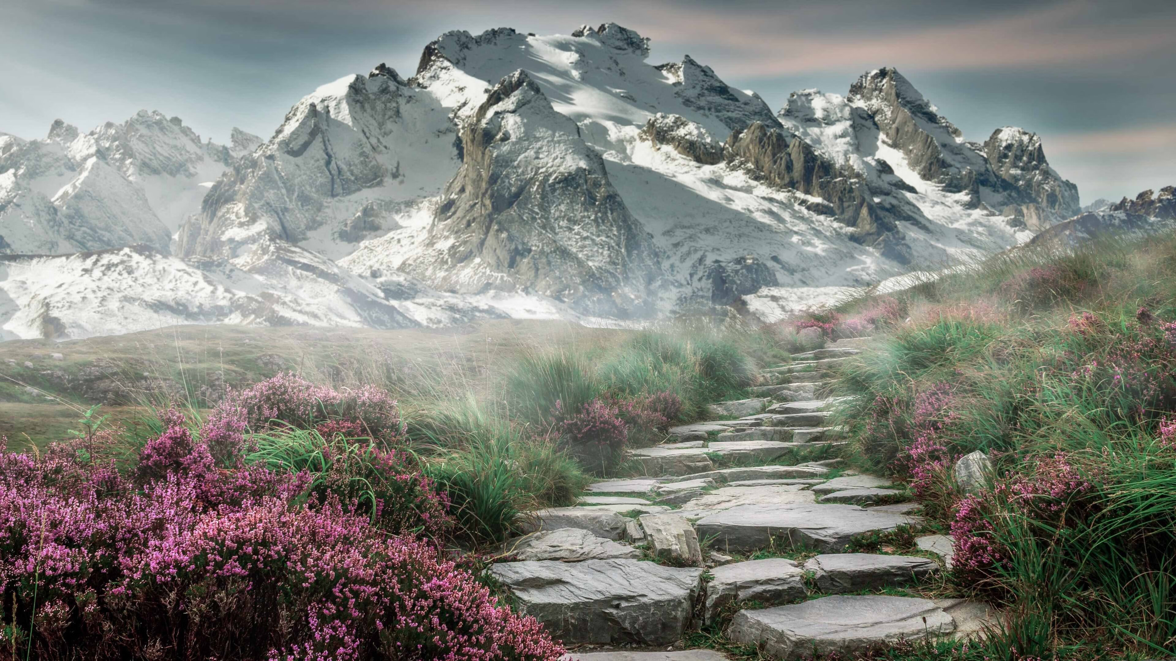 开云平台-v7.2.5 稳定版正式发布，2026年6月29日，开启高效可靠新体验